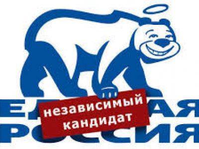 К выборам в горсовет новосибирского Бердска не допущены 10 независимых кандидатов