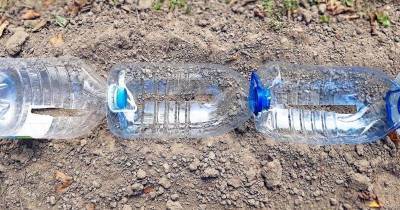 Собирайте 5-литровые пластиковые бутылки и оформите красоту на участке