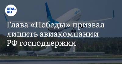 Глава «Победы» призвал лишить авиакомпании РФ господдержки