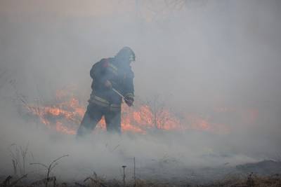 В Челябинской области из-за лесного пожара эвакуирован детский лагерь