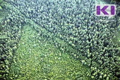 За восстановлением лесов Коми наблюдают из космоса