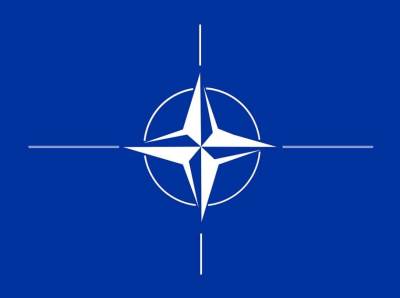 Йохан Бекман: К 2025 году НАТО прекратит своё существование