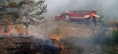 В Челябинской области из-за лесного пожара эвакуировали детей и сотрудников из детского лагеря