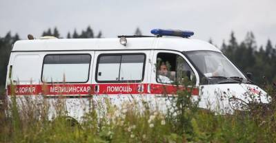 Маршрутка с пассажирами врезалась в дерево в Ставрополе, пострадали девять человек