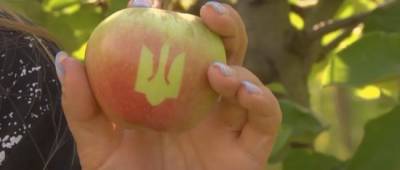В Украине осенью резко подорожает популярный фрукт