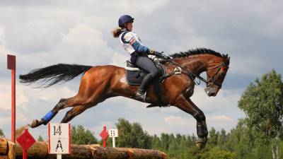 Зоозащитники просят МОК исключить конный спорт из программы Олимпиады