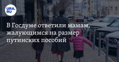 В Госдуме ответили мамам, жалующимся на размер путинских пособий