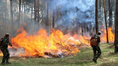 В Украине сохраняется чрезвычайная пожарная опасность