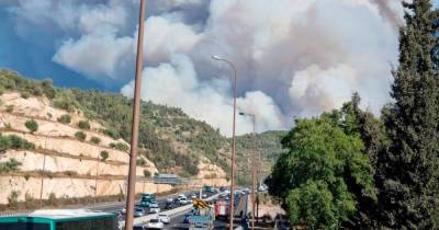 Крупный лесной пожар произошел в районе Иерусалимских гор в Израиле