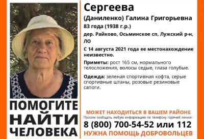 В Ленобласти ищут 83-летнюю жительницу деревни Райково