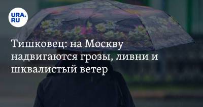 Тишковец: на Москву надвигаются грозы, ливни и шквалистый ветер