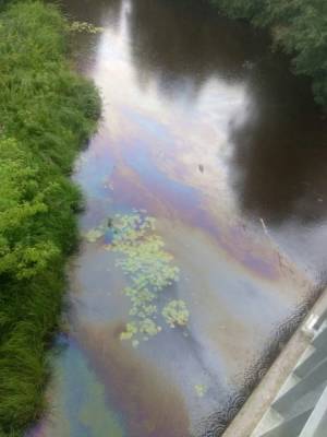 В Сосновом Бору местные жители заподозрили слив нефтеотходов в реку Коваши — фото