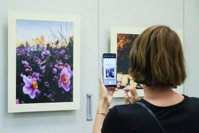 В объективе смартфона: в Воронеже открыли выставку работ, снятых не на фотоаппарат