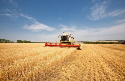 Фермеры Ульяновской области набрали темп
