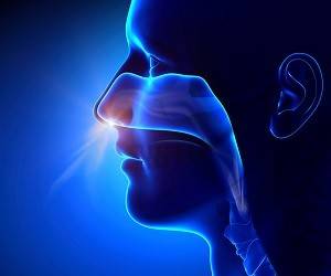 Дыхательные техники для улучшения здоровья: 3 шага к правильному дыханию