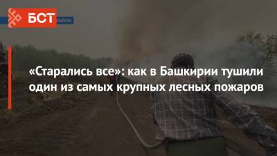 «Старались все»: как в Башкирии тушили один из самых крупных лесных пожаров