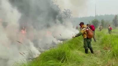 За минувшие сутки в России потушили 60 природных пожаров