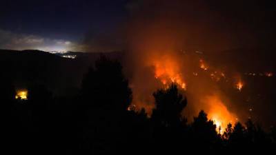 Подозрение: гигантский пожар у Иерусалима вспыхнул из-за поджога