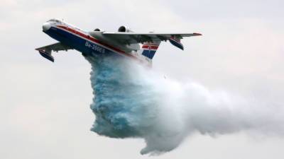 Российские эксперты прибыли в Турцию для осмотра места крушения самолета Бе-200