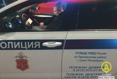В Приморском районе после погони задержали пьяного водителя на каршеринге