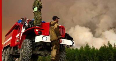 В российских лесах тушат возгорания на площади более 1,5 млн гектаров