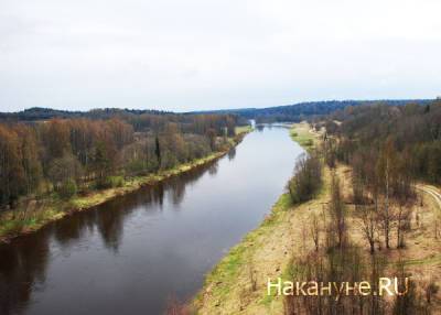В Самарской области река Волга покрылась зелеными пятнами