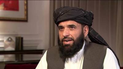 Представитель талибов рассказал о планах по формированию правительства Афганистана