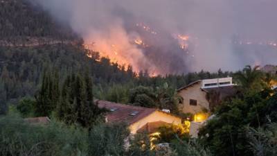 Пожар у Иерусалима: взять огонь под контроль не удается, сгорело 17.000 дунамов леса