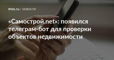 «Самострой.net»: появился телеграм-бот для проверки объектов недвижимости