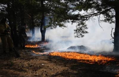 Лесные пожары на площади более 112 тыс. га тушат в Иркутской области