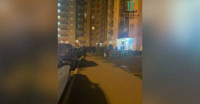 В Ленобласти 4-летний малыш разбился насмерть при падении с 16-го этажа