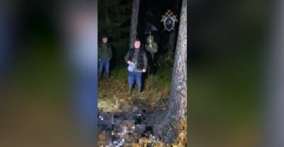 СК показал видео с места обнаружения обгоревших тел женщины и ребёнка в Ленобласти