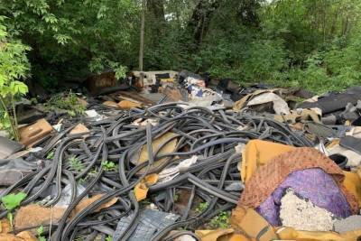 Берега реки Тулицы завалили автомобильными покрышками и строительным мусором