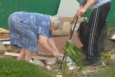 В Тверской области пенсионерка избавлялась от котят при помощи молотка