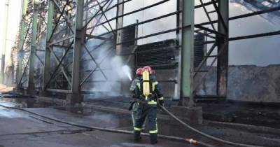 Во время пожара в Одесской области спасли 30 тысяч тонн зерна (ФОТО)
