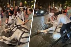 В центре Одессы хозяин жестоко издевался над упавшим конем. ВИДЕО