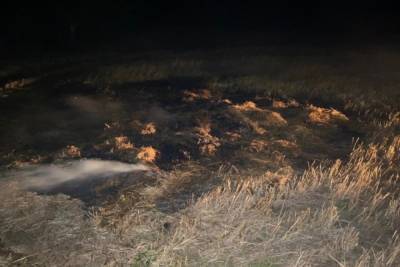 За две недели августа в Марий Эл больше 20 раз горела сухая трава