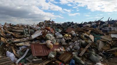 Полигон бытовых отходов горит на Горском шоссе