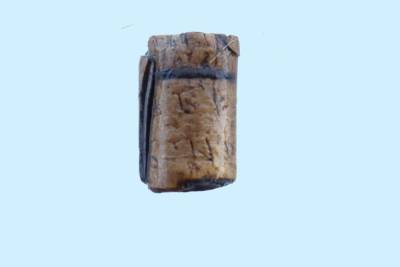 На территории Рязанского кремля археологи впервые нашли берестяную грамоту