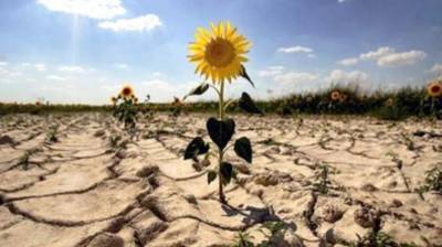 Длинное жаркое лето и короткие бесснежные зимы: Как изменится климат Украины через 50 лет