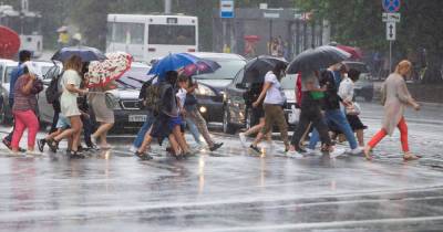 Сильный ветер и дождь: погода в Калининграде на рабочую неделю