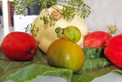 Конкурс «Облгазеты» «С ОГорода – на стол»: что приготовить из томатов необычной формы?