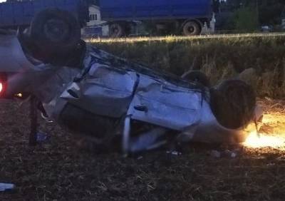 В Сараевском районе водитель Renault врезался в столб и погиб