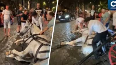 В центре Одессы хозяин жестоко издевался над упавшим конем (ВИДЕО)