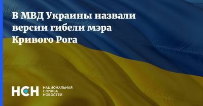В МВД Украины назвали версии гибели мэра Кривого Рога