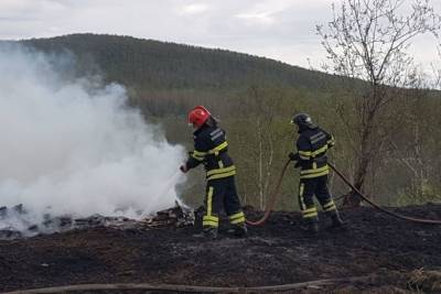 Десантники авиалесоохраны Мурманской области за последние сутки помогли локализовать 11 пожаров