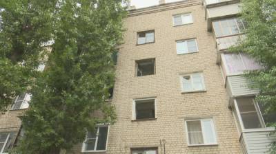 В Воронеже хозяйка квартиры-зверинца сделала невыносимой жизнь соседей по многоэтажке