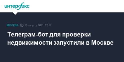 Телеграм-бот для проверки недвижимости запустили в Москве