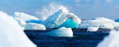 В канадской Арктике найдены бактерии, разлагающие солярку и нефть