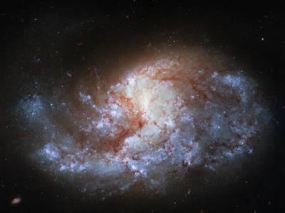 Hubble показал спиральную галактику в созвездии "Печь" - gordonua.com - Украина